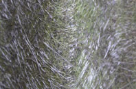 East Curthwaite fibreglass roof work